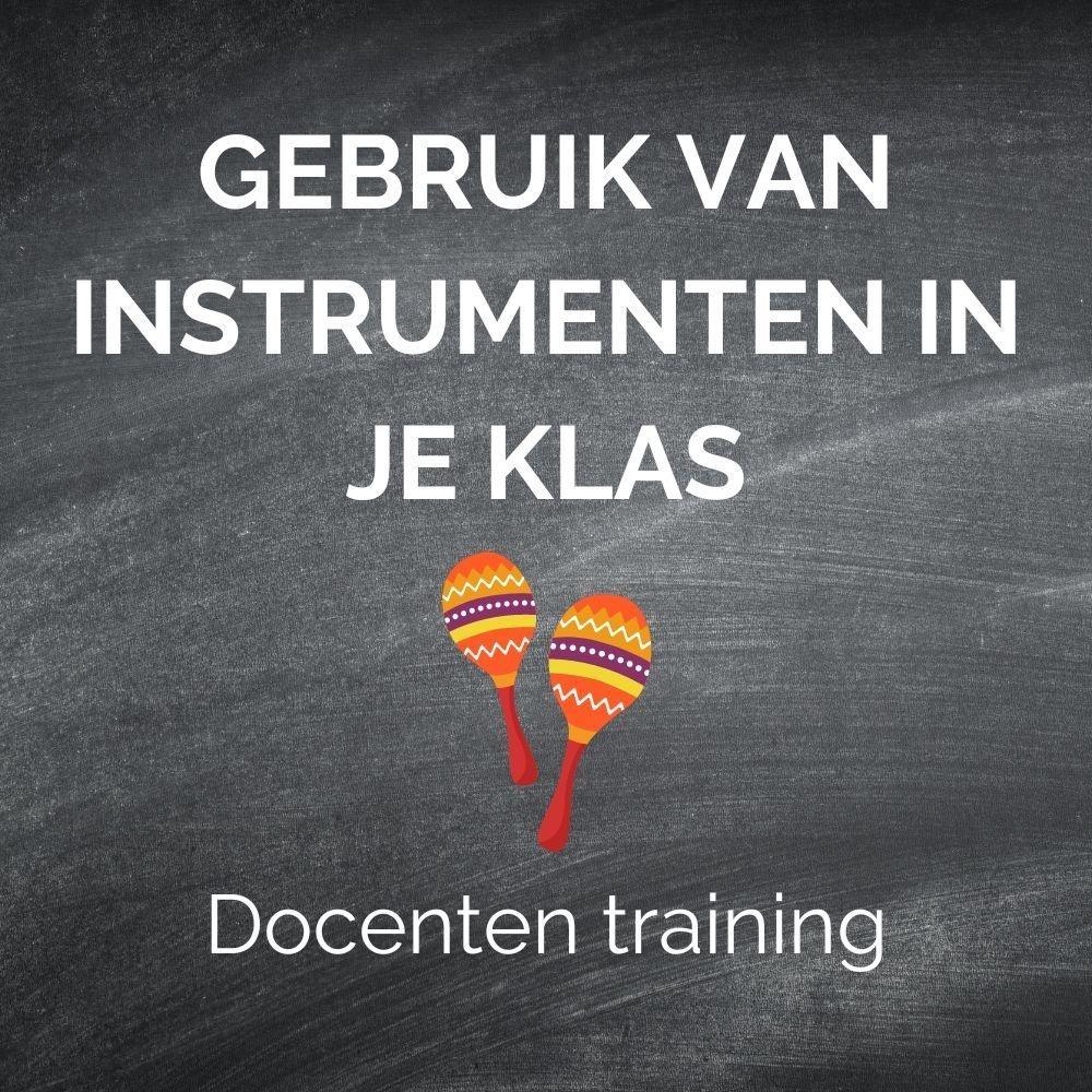 Gebruik van instrumenten in je klas docenten training
